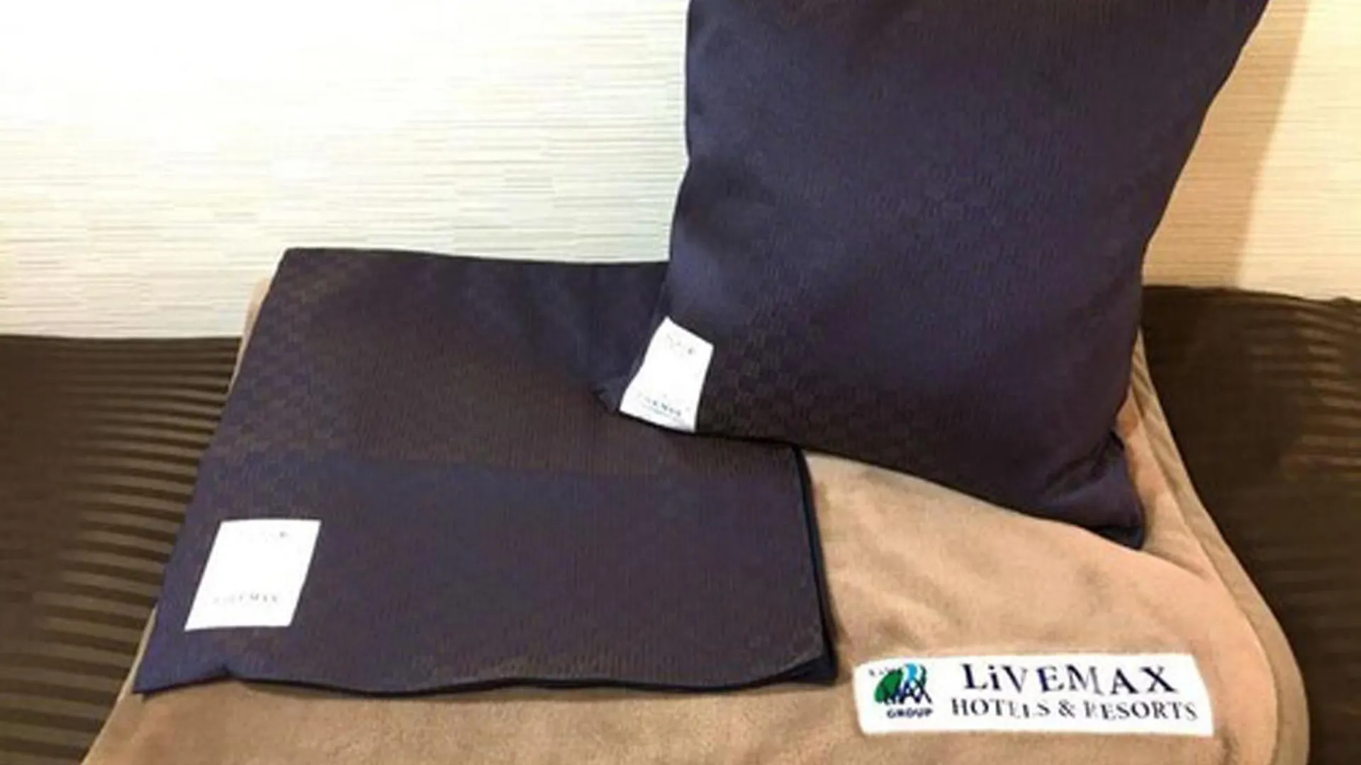 Hotel Livemax Sagamihara Ekimae 3*,